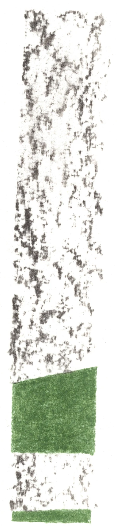 VISUEL ARBRE SEUL